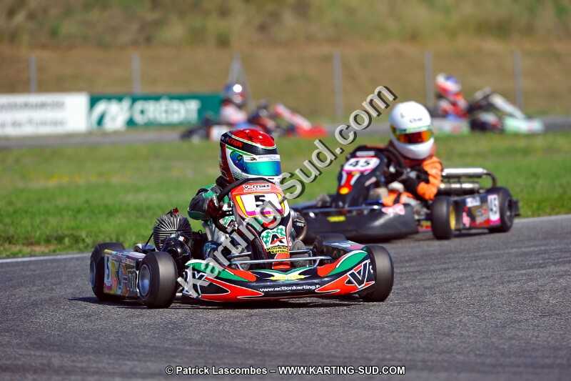 DSC_ (1238).jpg